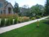 plantings08_small.jpg