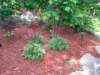 plantings10_small.jpg