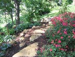 Plantings